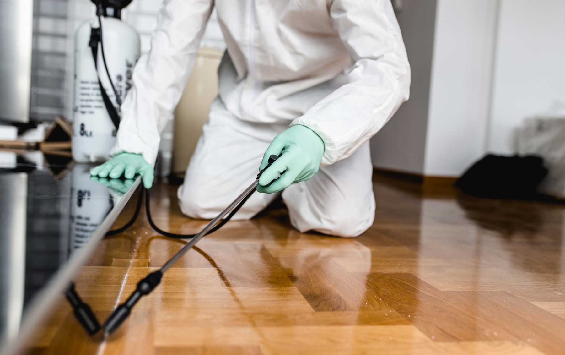 Pest Inspection Canberra Services